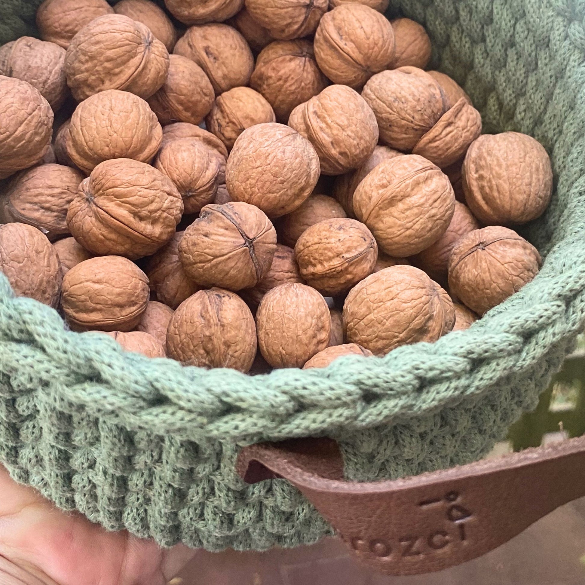 Eco-friendly recycled cotton cord basket with walnuts inside