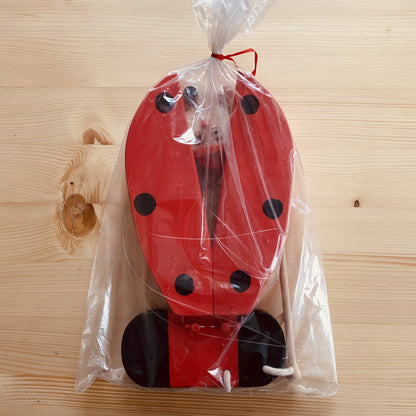 wooden flying ladybug