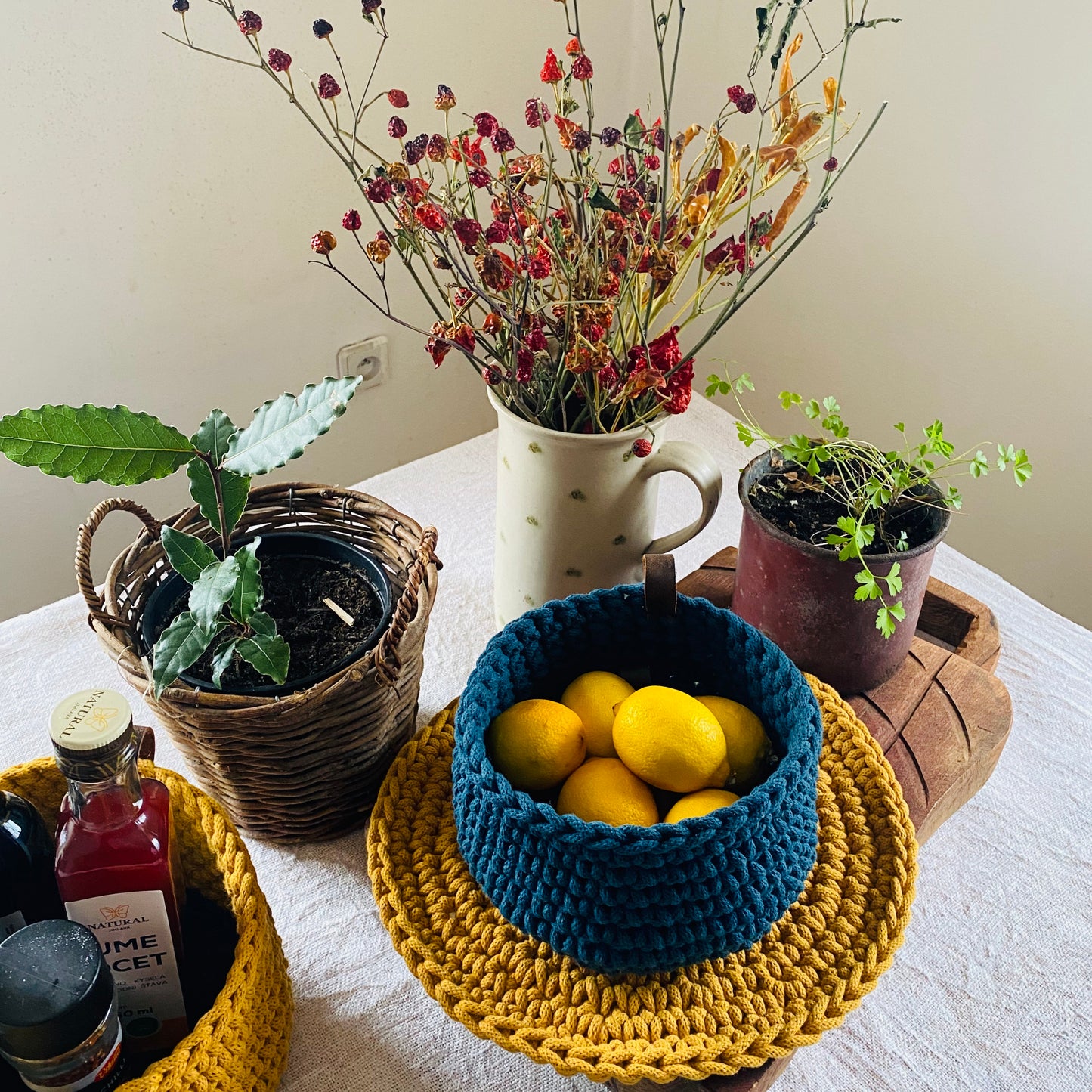 Mustard Yellow and Rich Blue Round Crochet Place Mats - Modern Table Decor